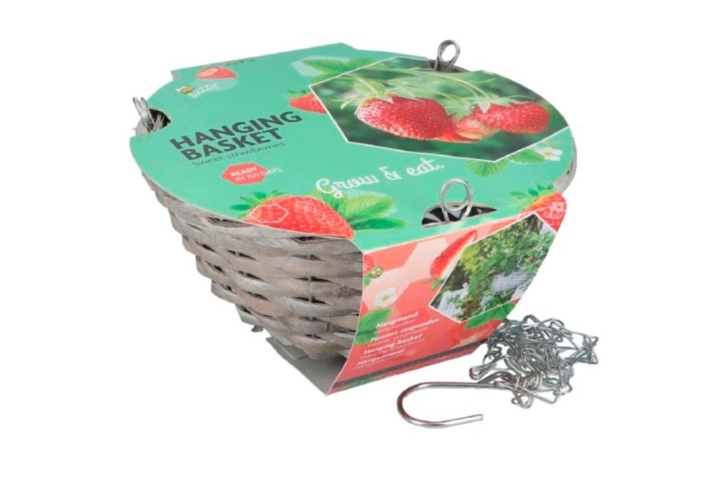 Cesta de fresas colgante