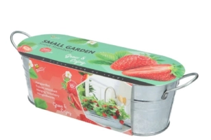 Cuenco zinc dulce fresa