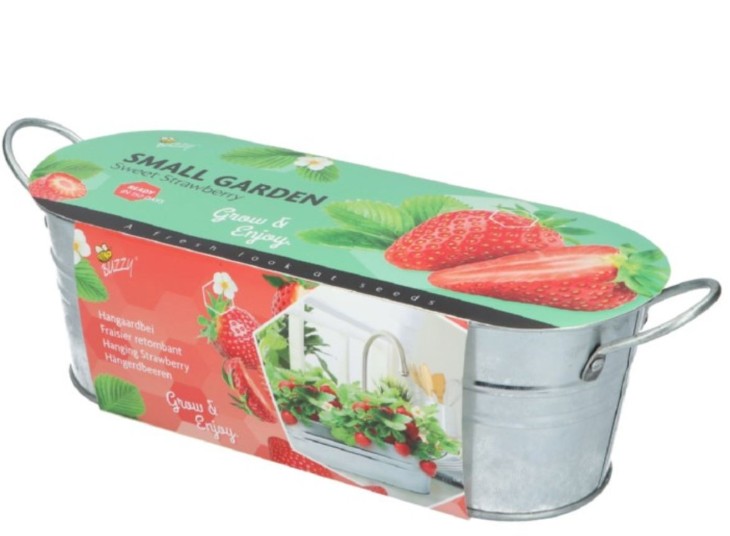 Cuenco zinc dulce fresa