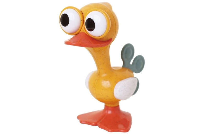 Sonall d'ocell amb ulls bojos