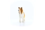 gos collie Schleich