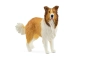 Perro collie Schleich