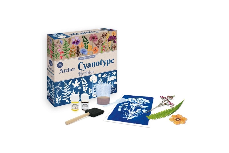 Kit Cianotípia Herbari