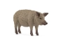 Cerdo lanudo schleich