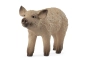 Cerdito lanudo Schleich