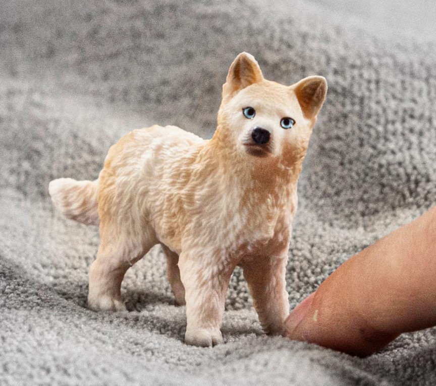 Cria de Llop àrtic Schleich