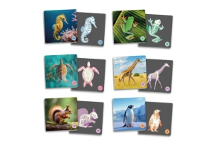 Animals vertebrats i els seus esquelets