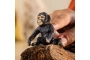 Cría de Chimpance  Schleich