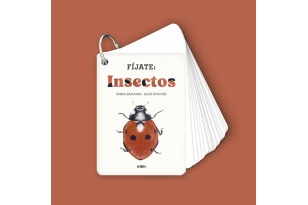 Fíjate: Insectos
