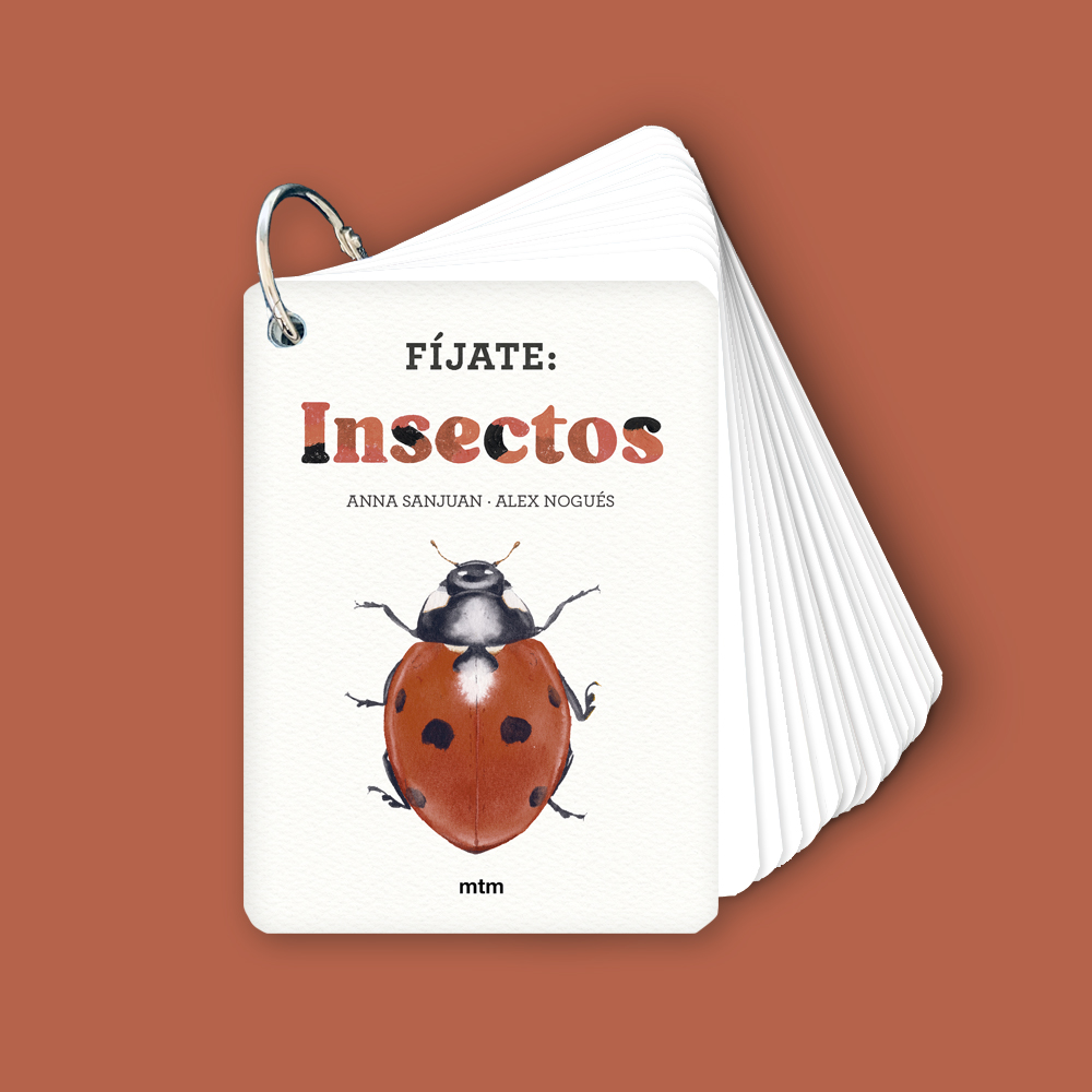 Fíjate: Insectos