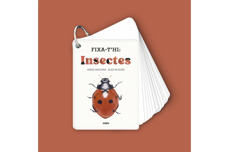 Fixa-t'hi: Insectes