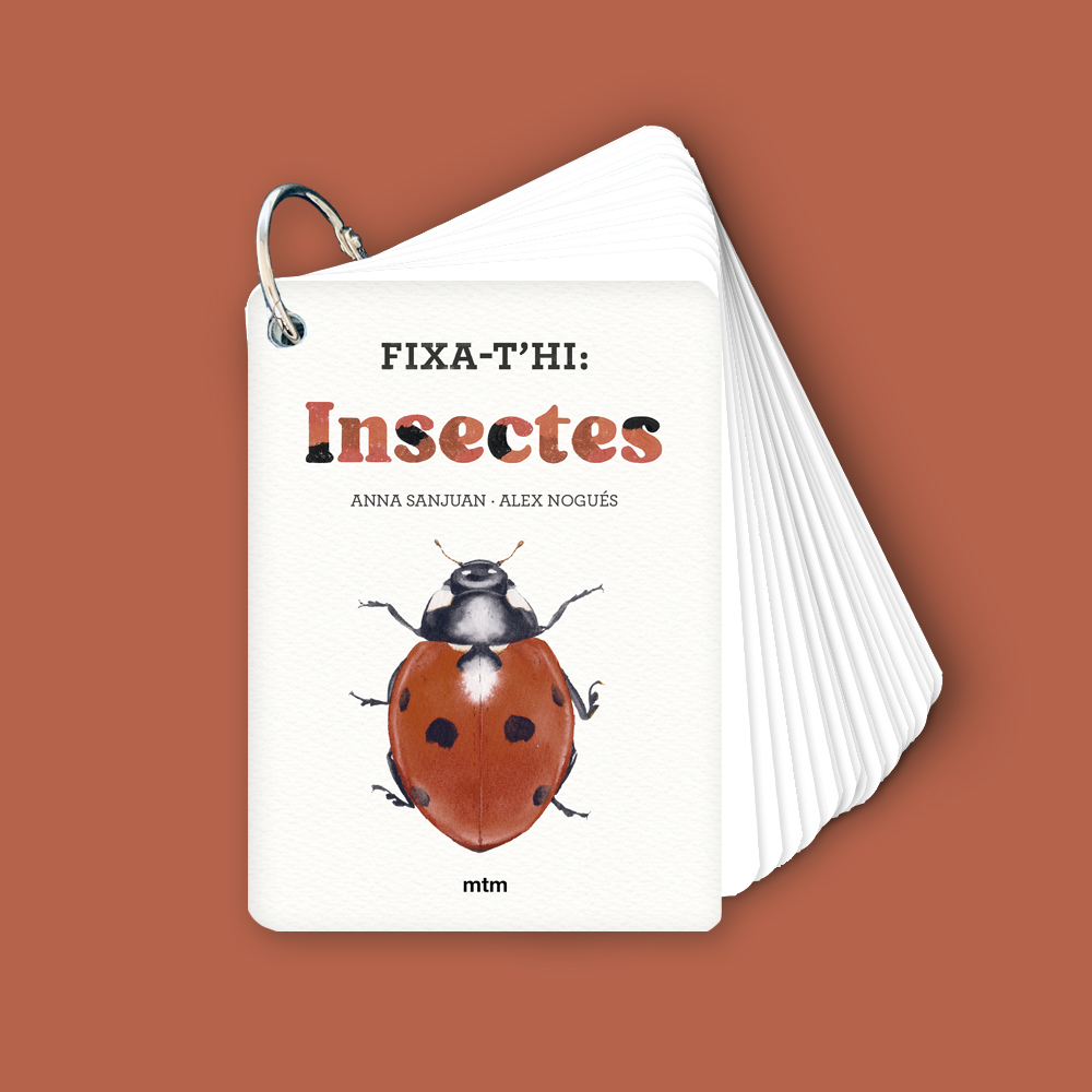 Fixa-t'hi: Insectes