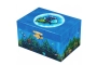 Caja de música pez irisado
