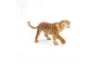 Tigre rugint Papo