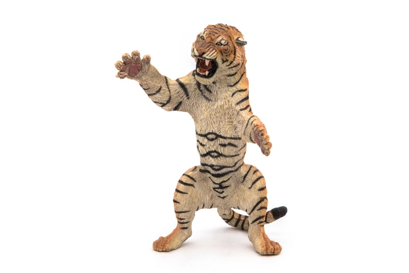 Tigre de pie