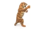 Tigre de pie