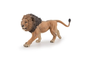Lleó africà