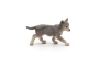Cachorro de Lobo Papo