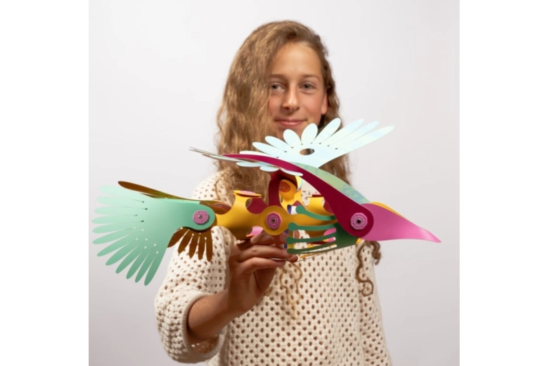 Clixo Tropical birds