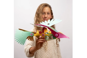 Clixo Tropical birds