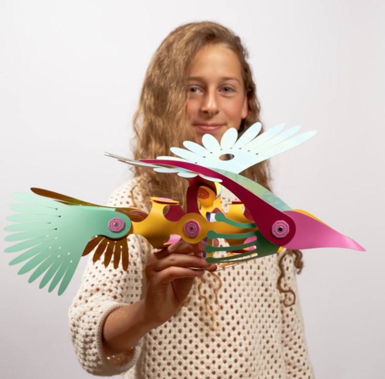 Clixo Tropical birds