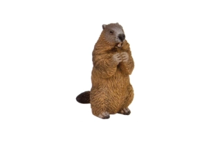 Marmota Papo