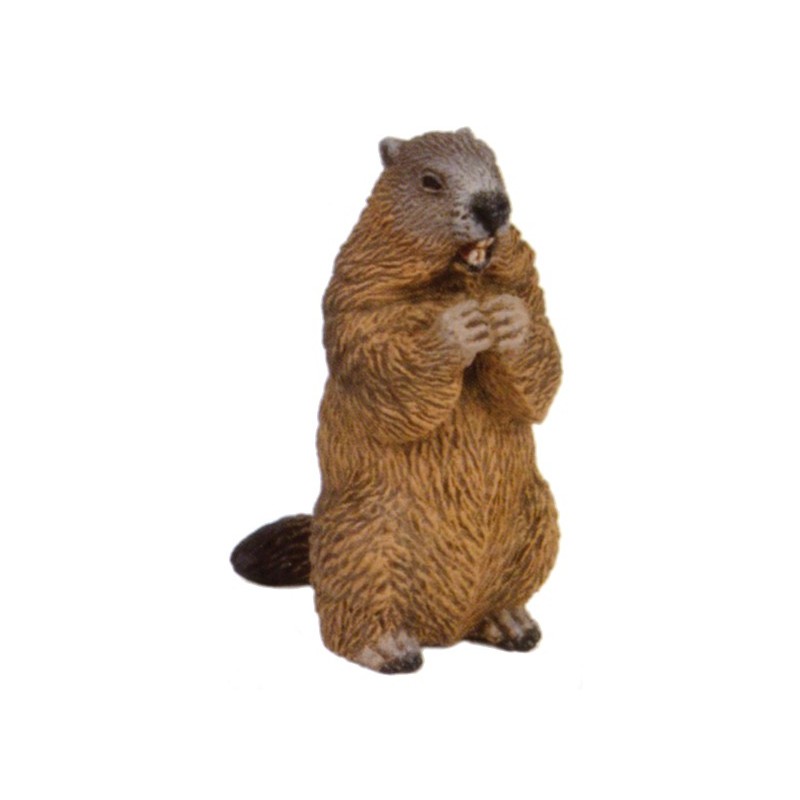 Marmota Papo