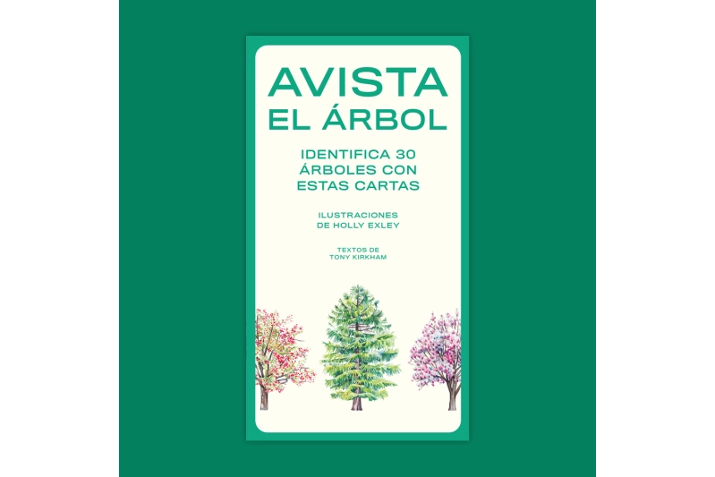 Avista el árbol