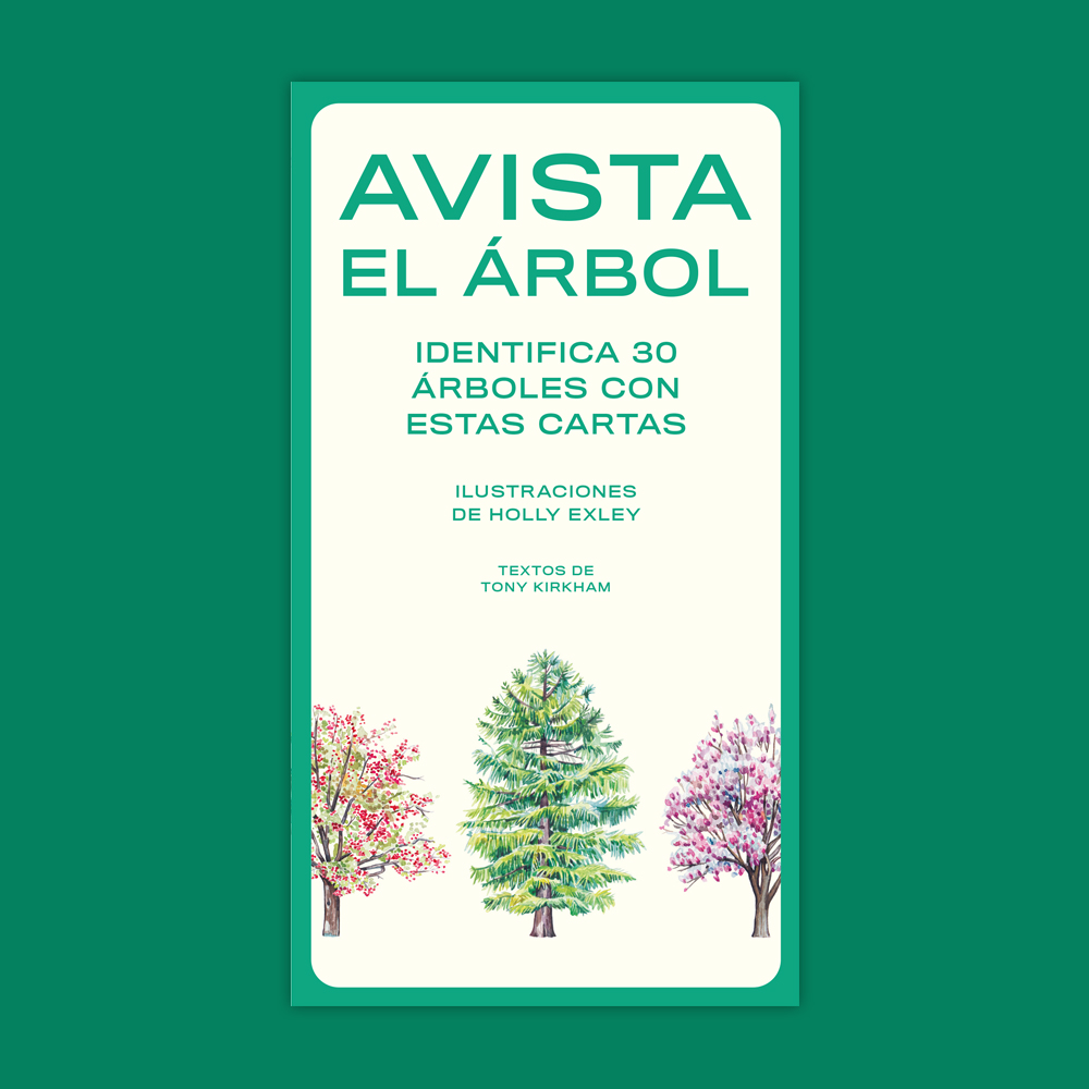 Avista el árbol