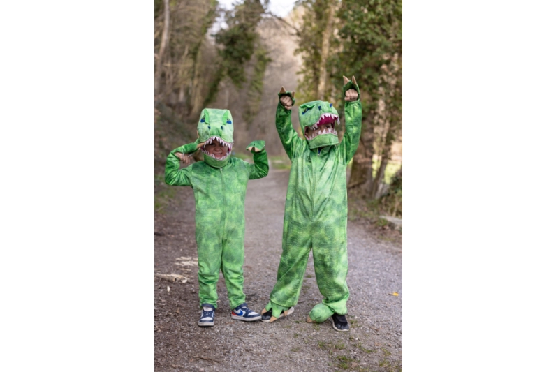 Disfraz T-Rex. T 4-6