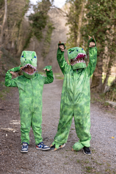 Disfraz T-Rex. T 4-6