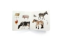 Animals de granja 2 Nowordbooks