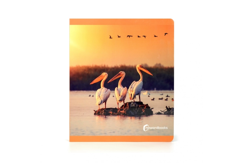 Ocells Nowordbook format gran