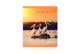 Ocells Nowordbook format gran