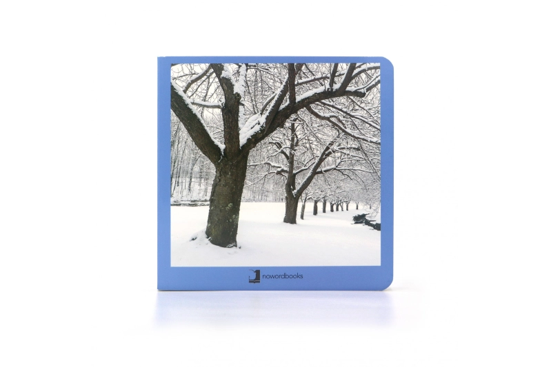 Invierno Nowordbooks