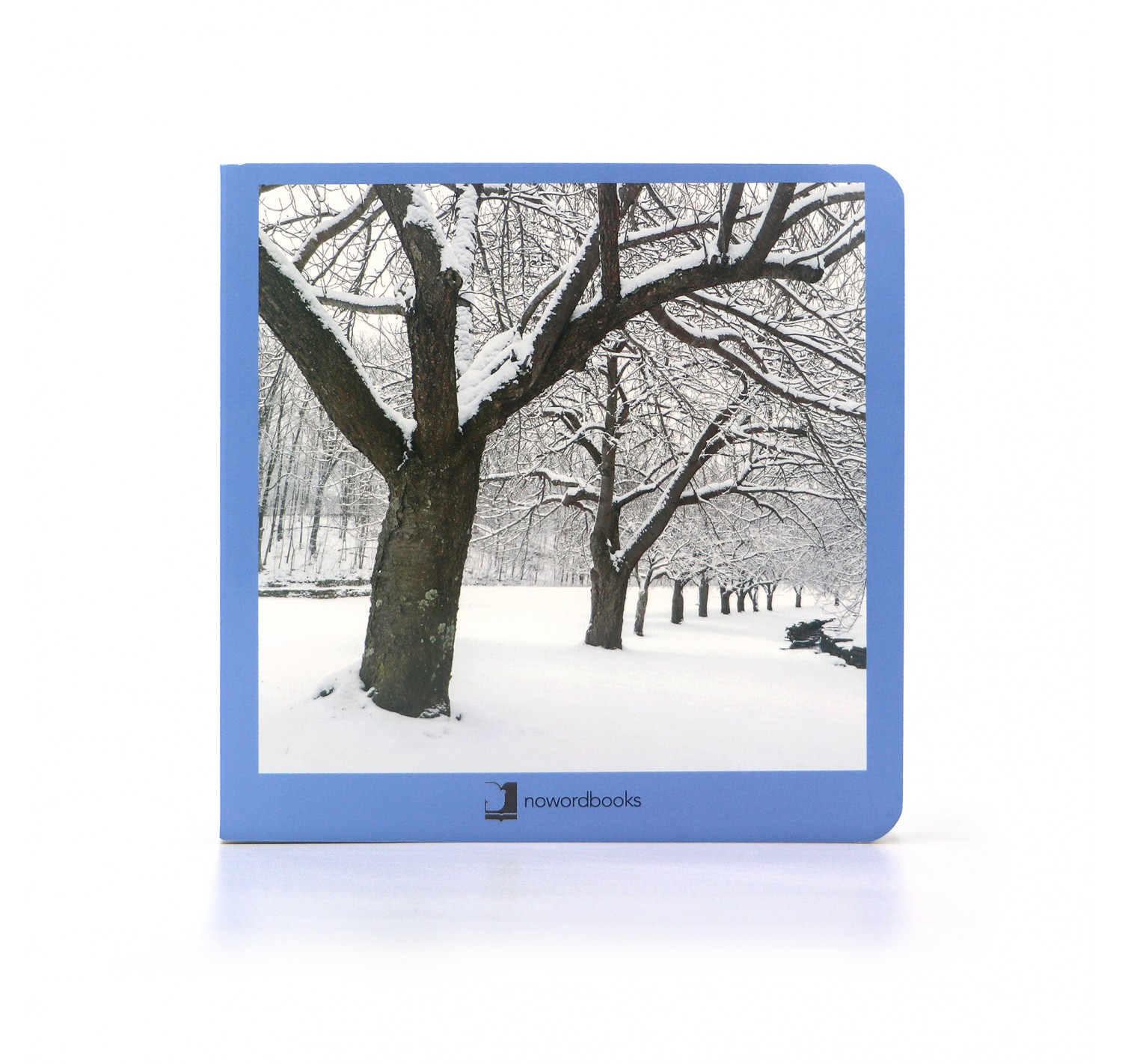 Invierno Nowordbooks