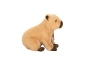 Capibara 25 cm