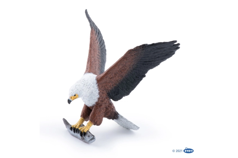 Àguila Pescadora Africana Papo