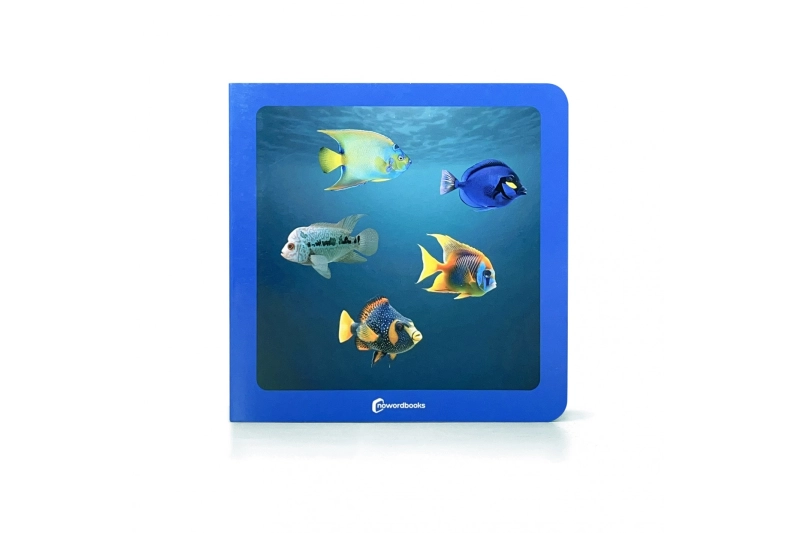 ¿Dónde están los peces? Nowordbooks