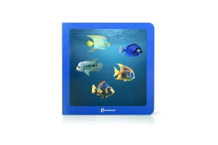 ¿Dónde están los peces? Nowordbooks