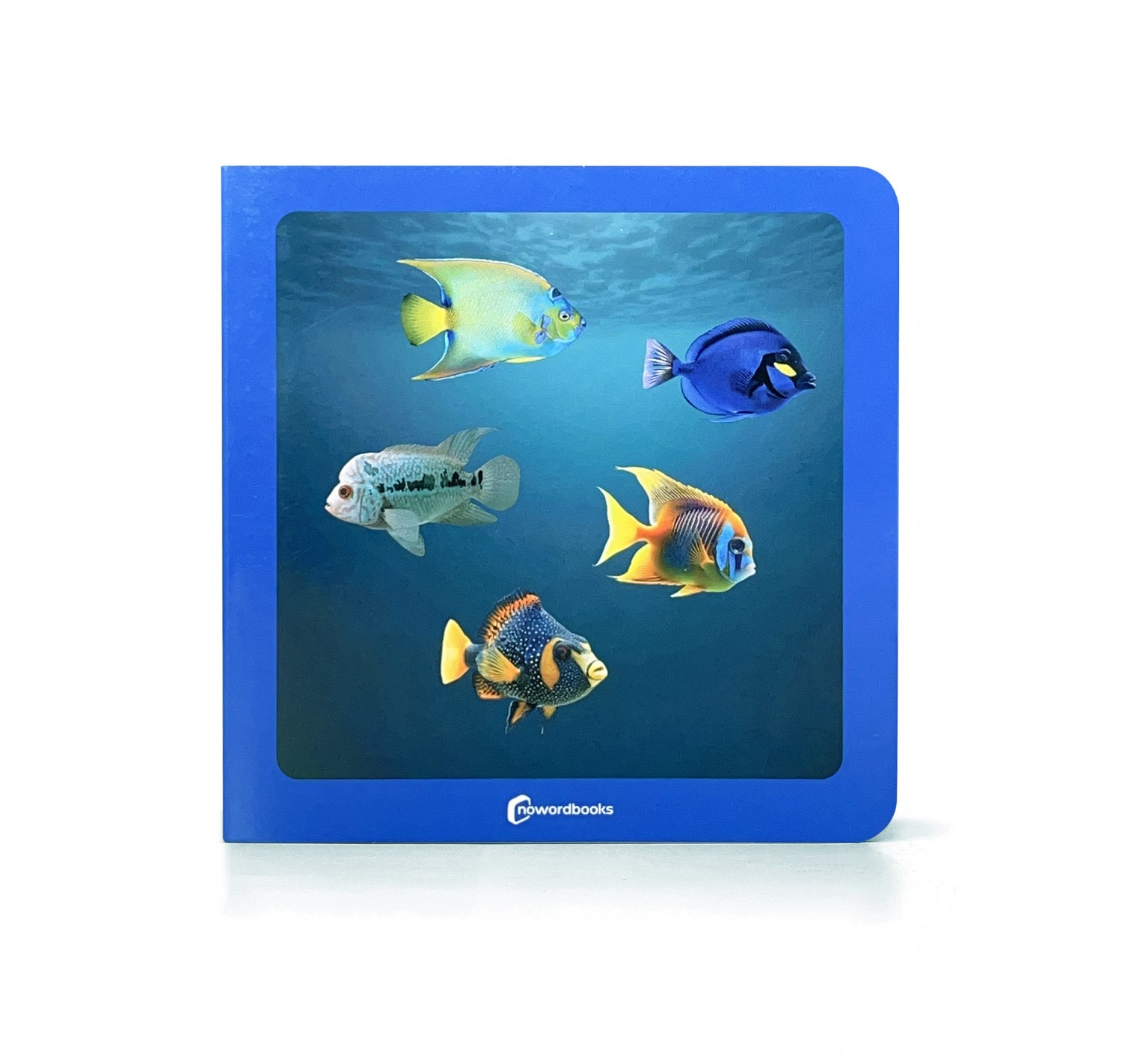 ¿Dónde están los peces? Nowordbooks