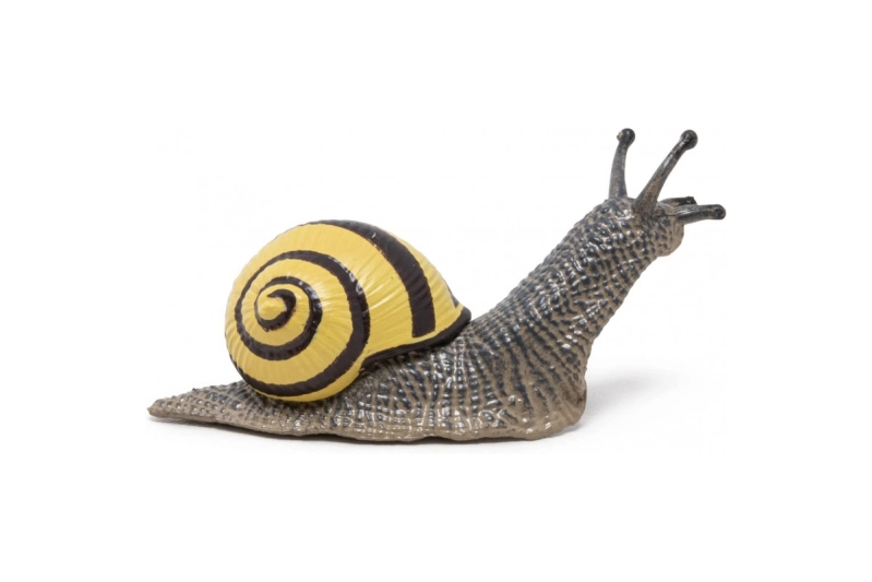 Cargol Arbreda Papo