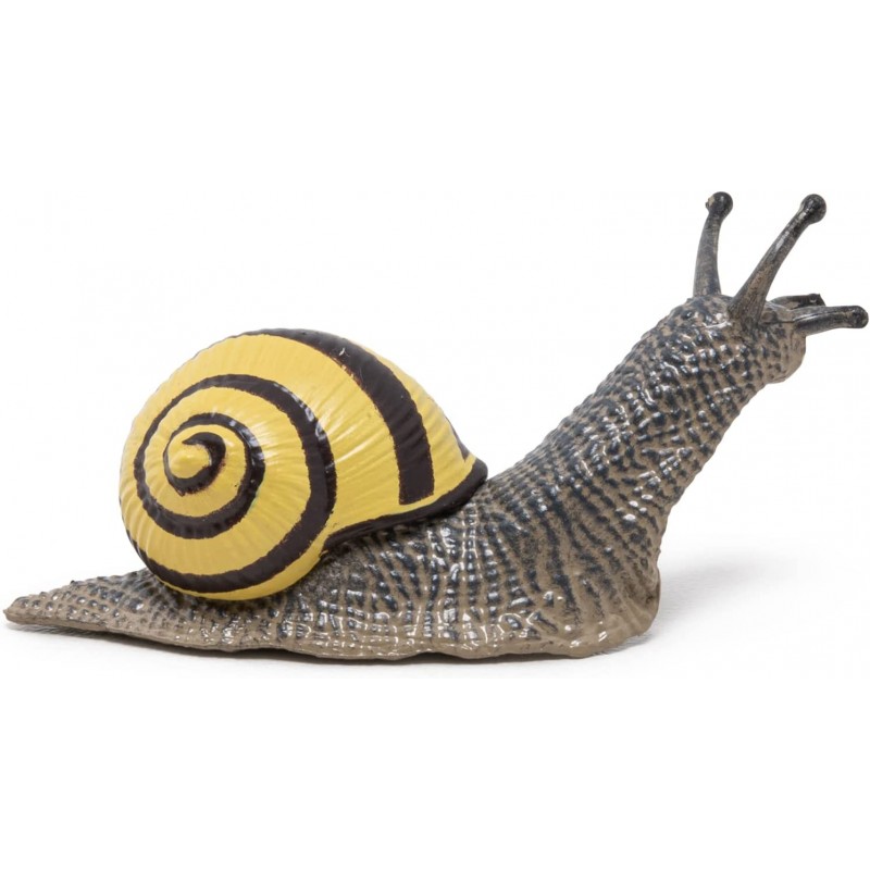 Cargol Arbreda Papo