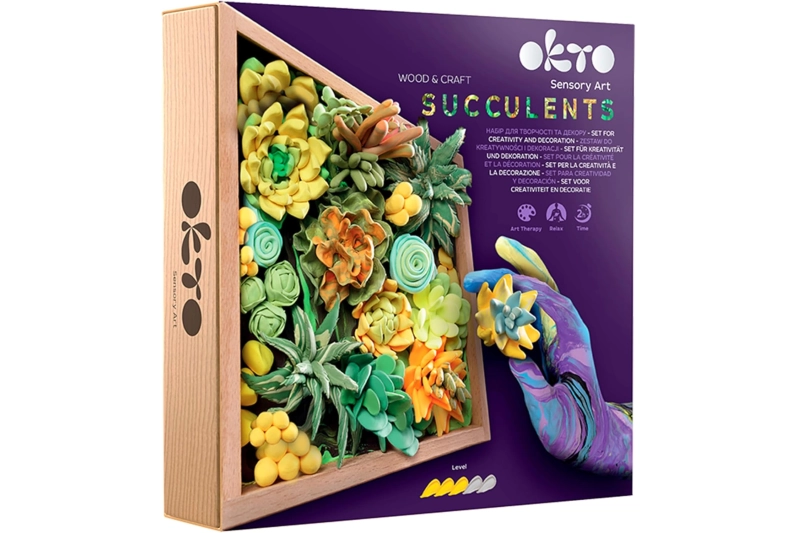 Kit de creativitat Succulents
