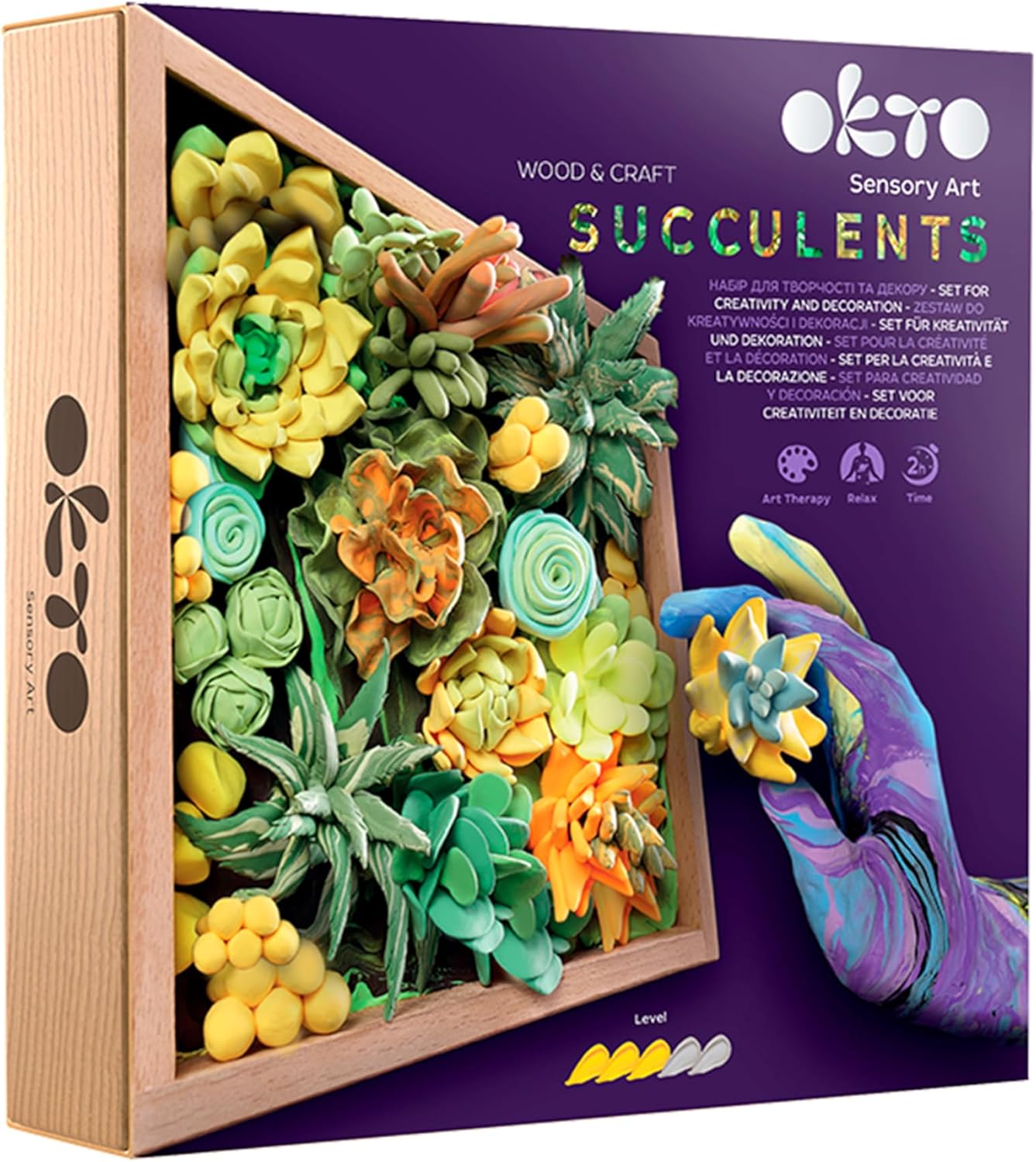 Kit de creatividad Succulents