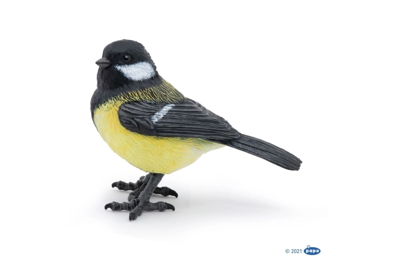 mallerenga carbonera Papo