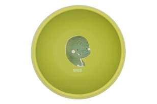 Bol de silicona Dinosaure