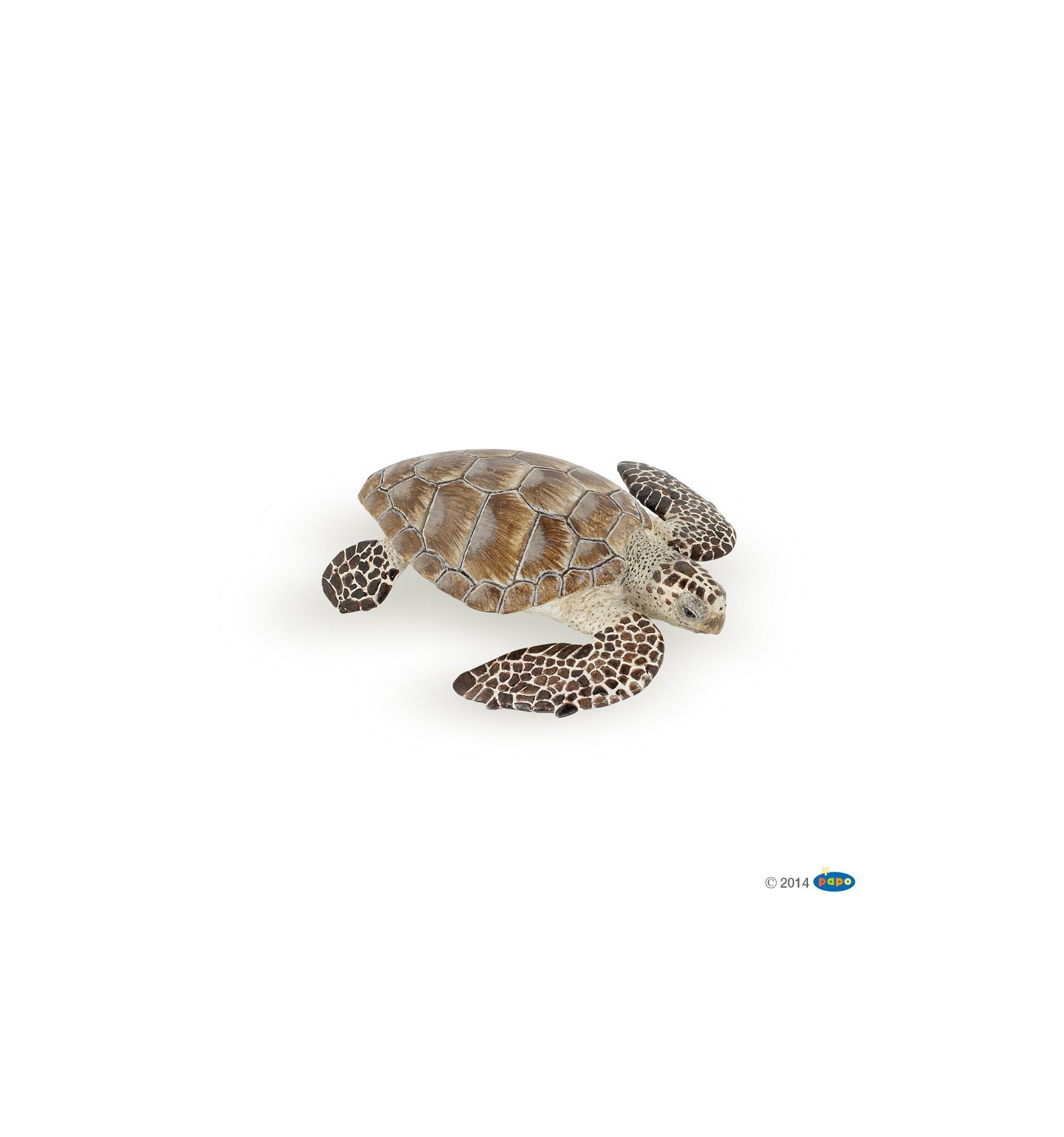 Tortuga de mar Papo