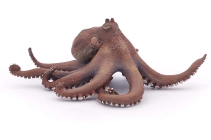 PULPO PAPO