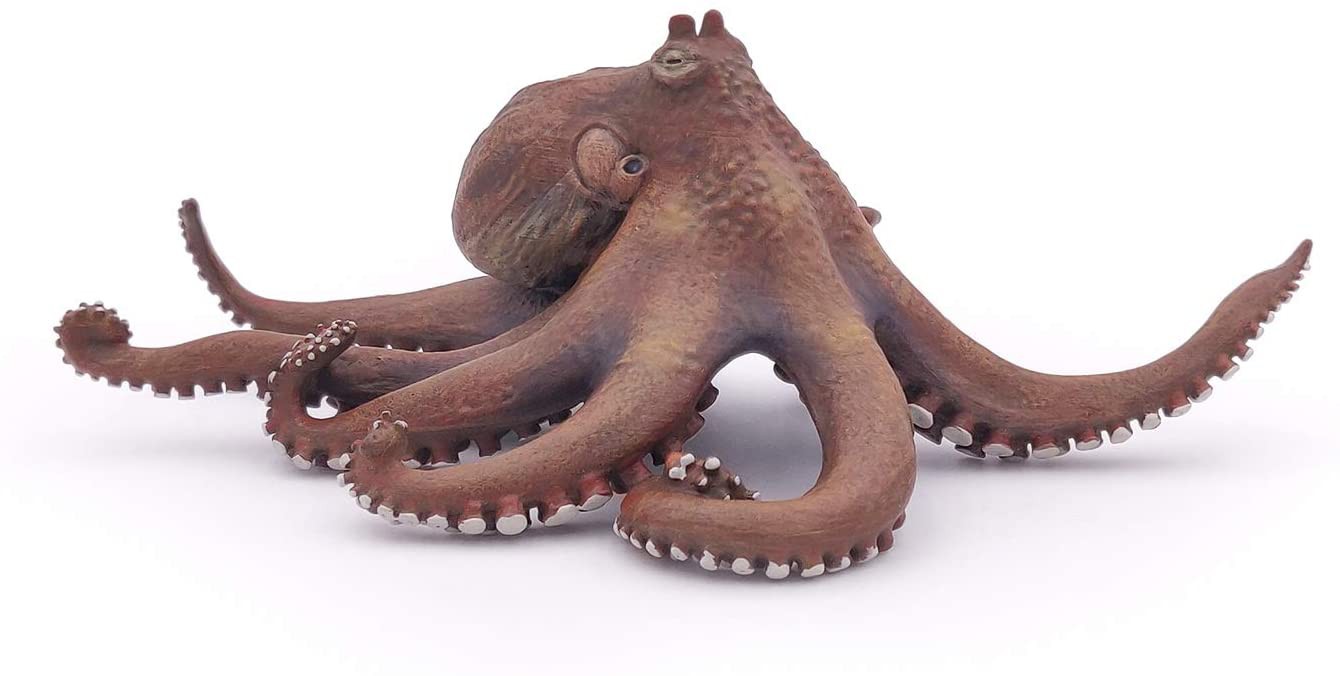 PULPO PAPO